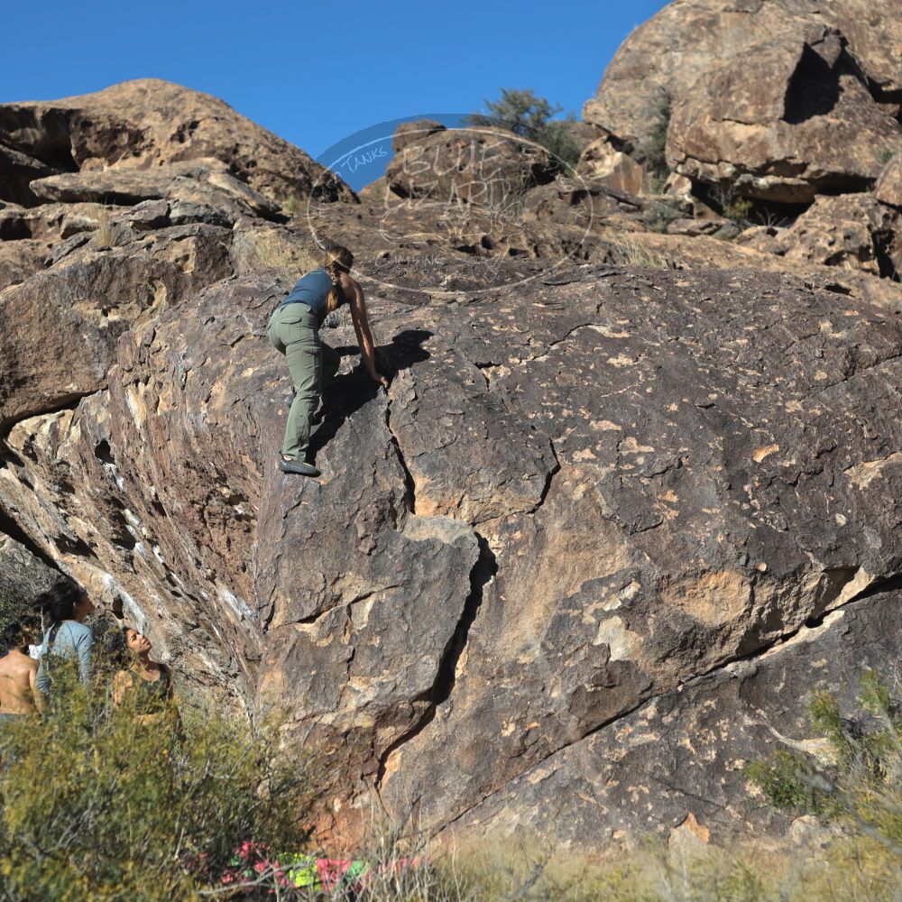 Filename: SRM_20221112_1411360.jpg
Aperture: f/4.0
Shutter Speed: 1/2500
Body: Canon EOS R6
Lens: Canon EF 50mm f/1.8 II