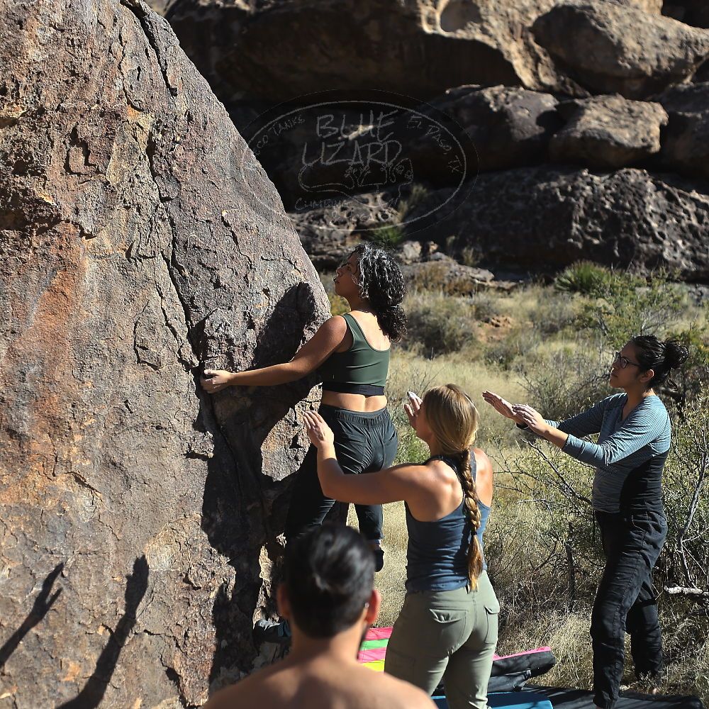 Filename: SRM_20221112_1412550.jpg
Aperture: f/4.0
Shutter Speed: 1/2500
Body: Canon EOS R6
Lens: Canon EF 50mm f/1.8 II