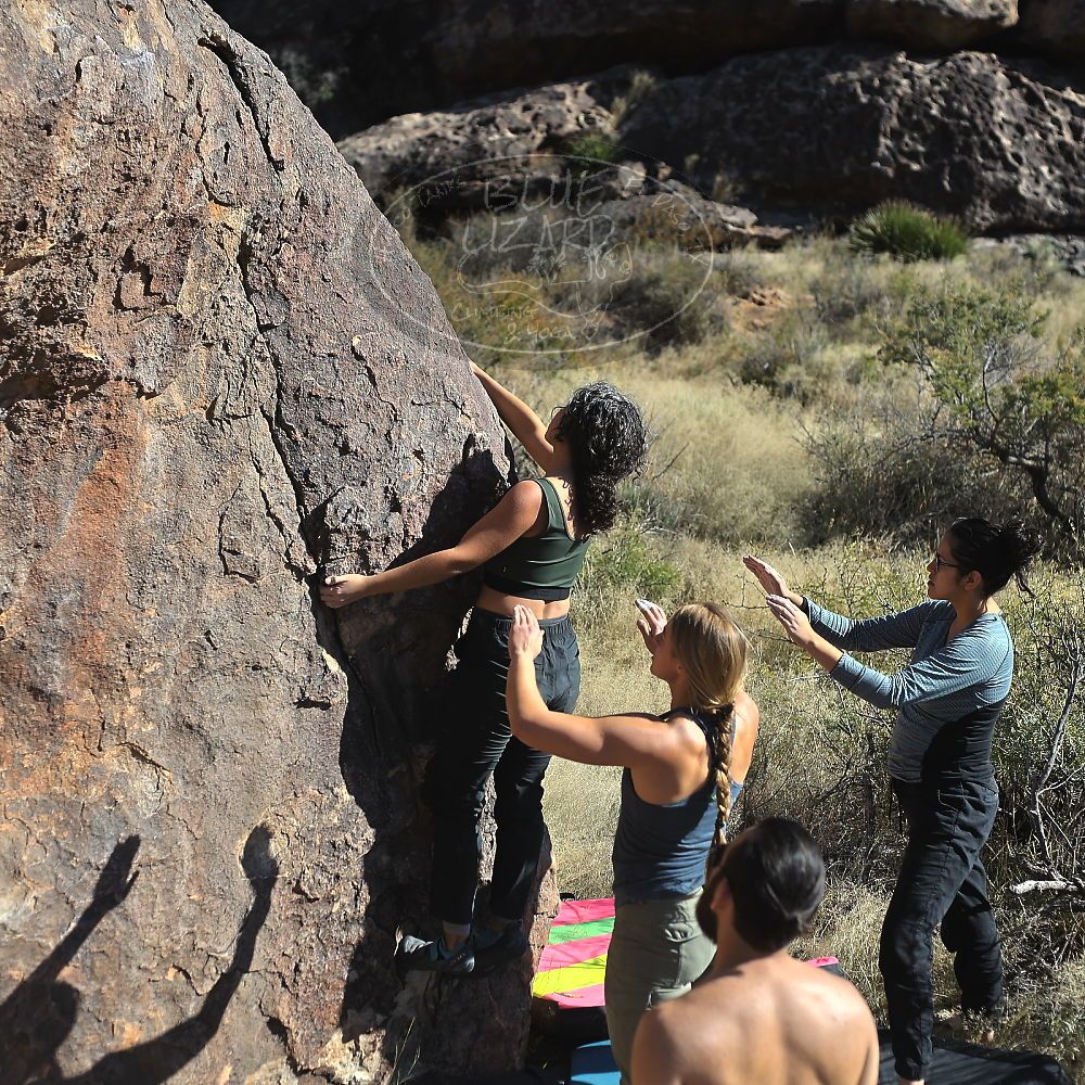 Filename: SRM_20221112_1412570.jpg
Aperture: f/4.0
Shutter Speed: 1/2500
Body: Canon EOS R6
Lens: Canon EF 50mm f/1.8 II