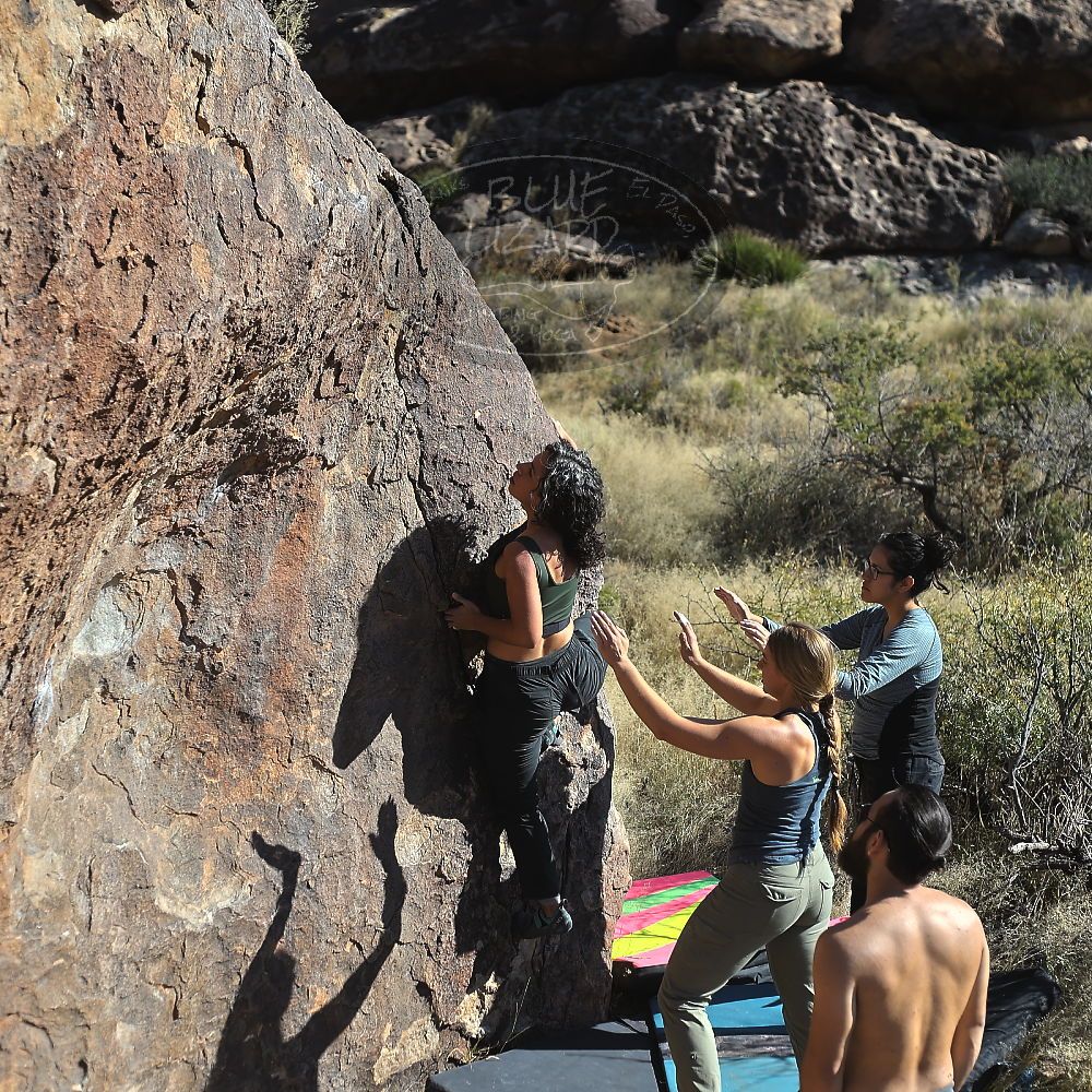 Filename: SRM_20221112_1413110.jpg
Aperture: f/4.0
Shutter Speed: 1/2500
Body: Canon EOS R6
Lens: Canon EF 50mm f/1.8 II