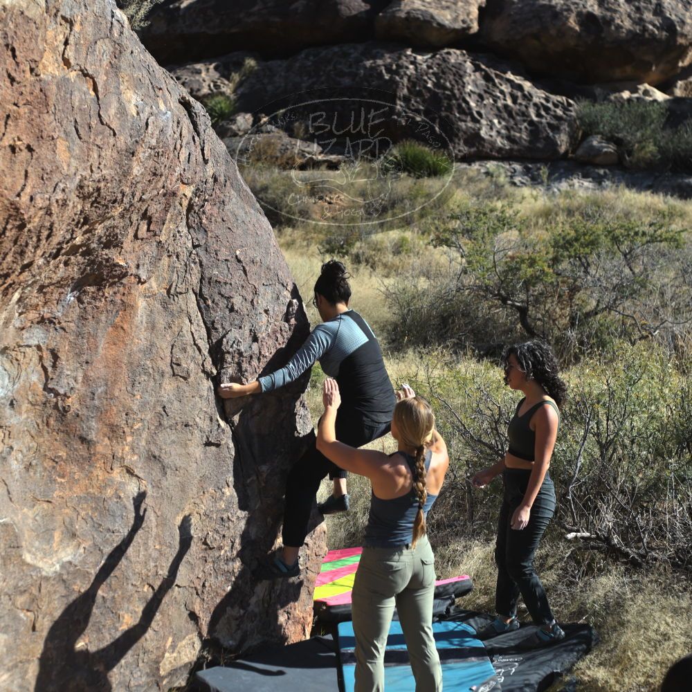 Filename: SRM_20221112_1413400.jpg
Aperture: f/4.0
Shutter Speed: 1/2500
Body: Canon EOS R6
Lens: Canon EF 50mm f/1.8 II