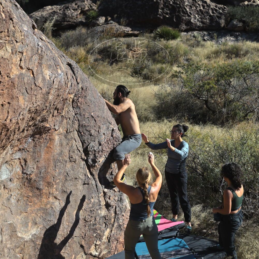 Filename: SRM_20221112_1415150.jpg
Aperture: f/4.0
Shutter Speed: 1/2500
Body: Canon EOS R6
Lens: Canon EF 50mm f/1.8 II