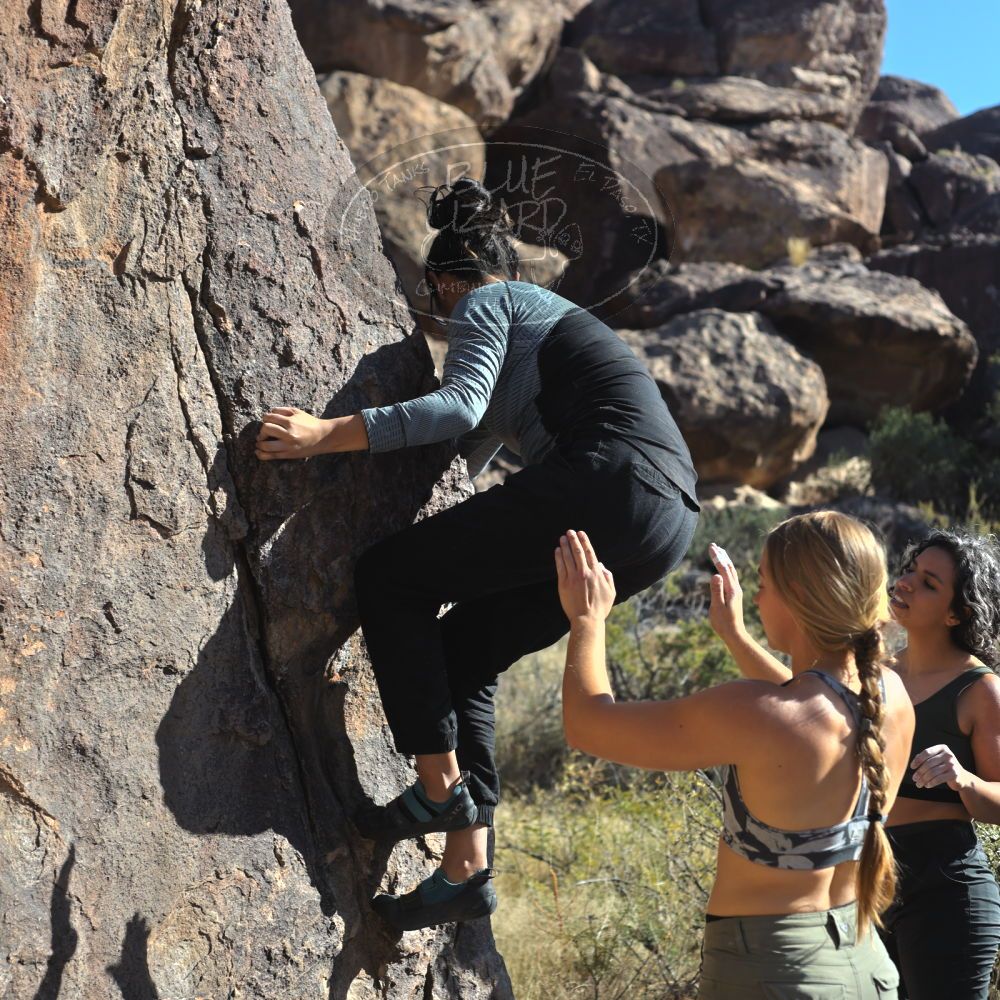 

Filename: SRM_20221112_1417070.jpg
Aperture: f/4.0
Shutter Speed: 1/2500
Body: Canon EOS R6
Lens: Canon EF 50mm f/1.8 II