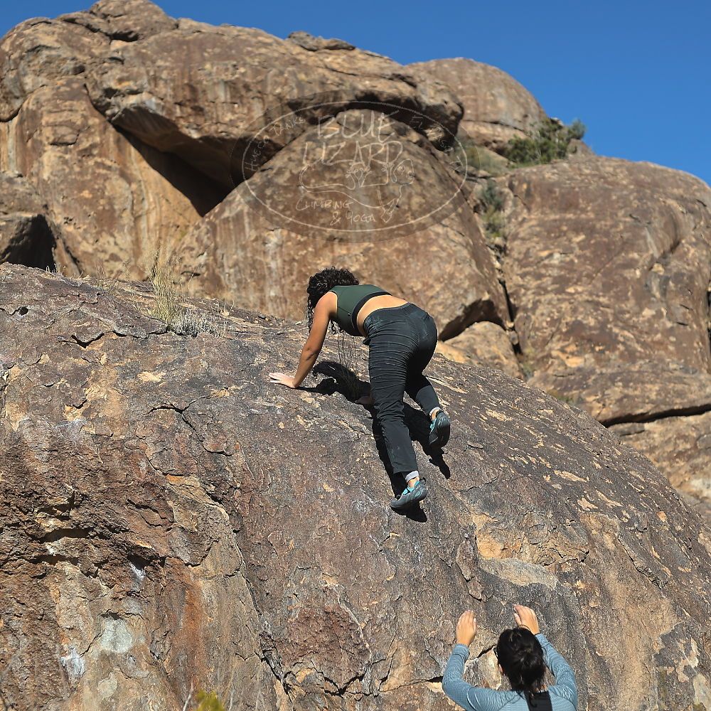 

Filename: SRM_20221112_1418430.jpg
Aperture: f/4.0
Shutter Speed: 1/2500
Body: Canon EOS R6
Lens: Canon EF 50mm f/1.8 II