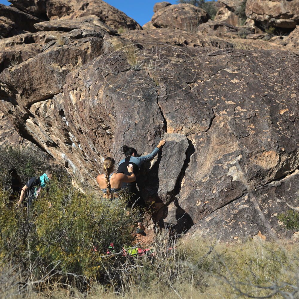 

Filename: SRM_20221112_1419321.jpg
Aperture: f/4.0
Shutter Speed: 1/2500
Body: Canon EOS R6
Lens: Canon EF 50mm f/1.8 II