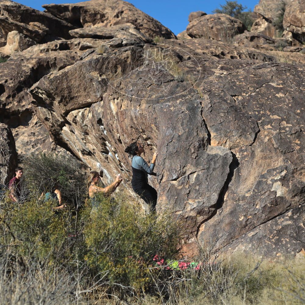 

Filename: SRM_20221112_1430490.jpg
Aperture: f/4.0
Shutter Speed: 1/2500
Body: Canon EOS R6
Lens: Canon EF 50mm f/1.8 II