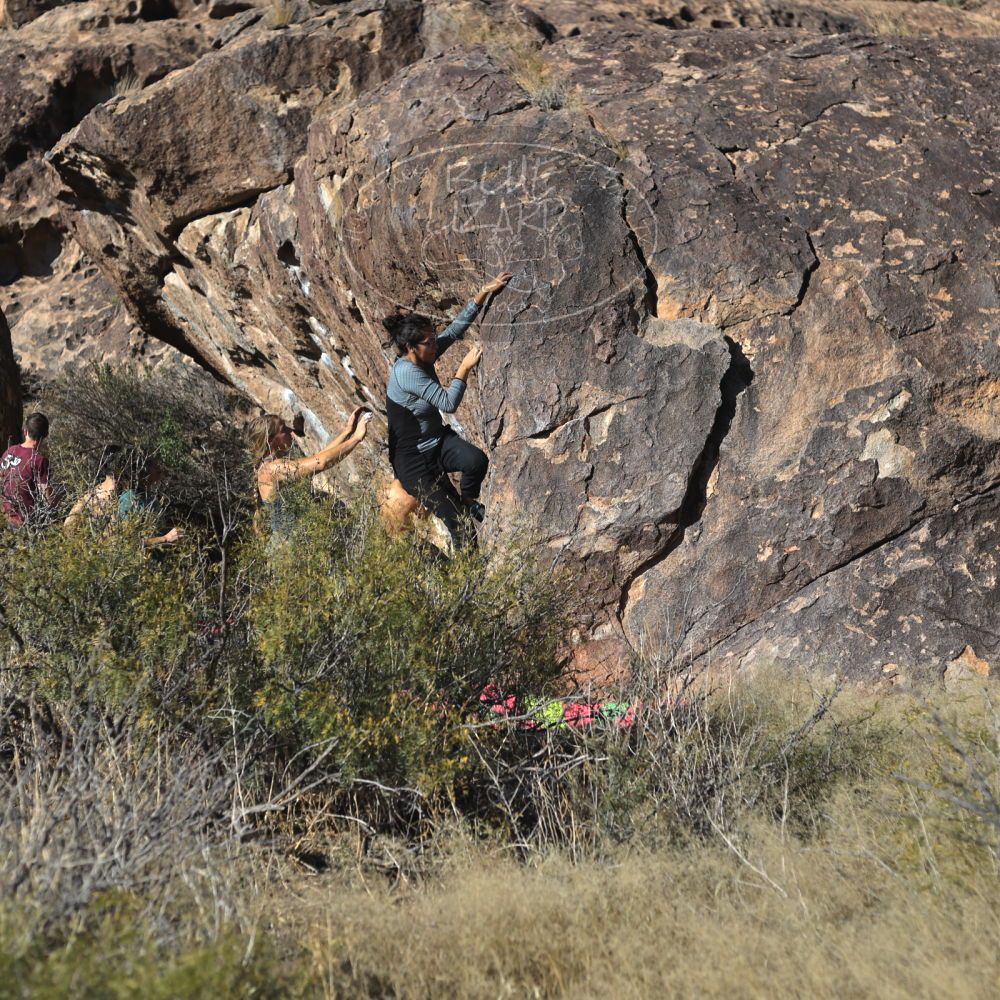 

Filename: SRM_20221112_1431030.jpg
Aperture: f/4.0
Shutter Speed: 1/2500
Body: Canon EOS R6
Lens: Canon EF 50mm f/1.8 II