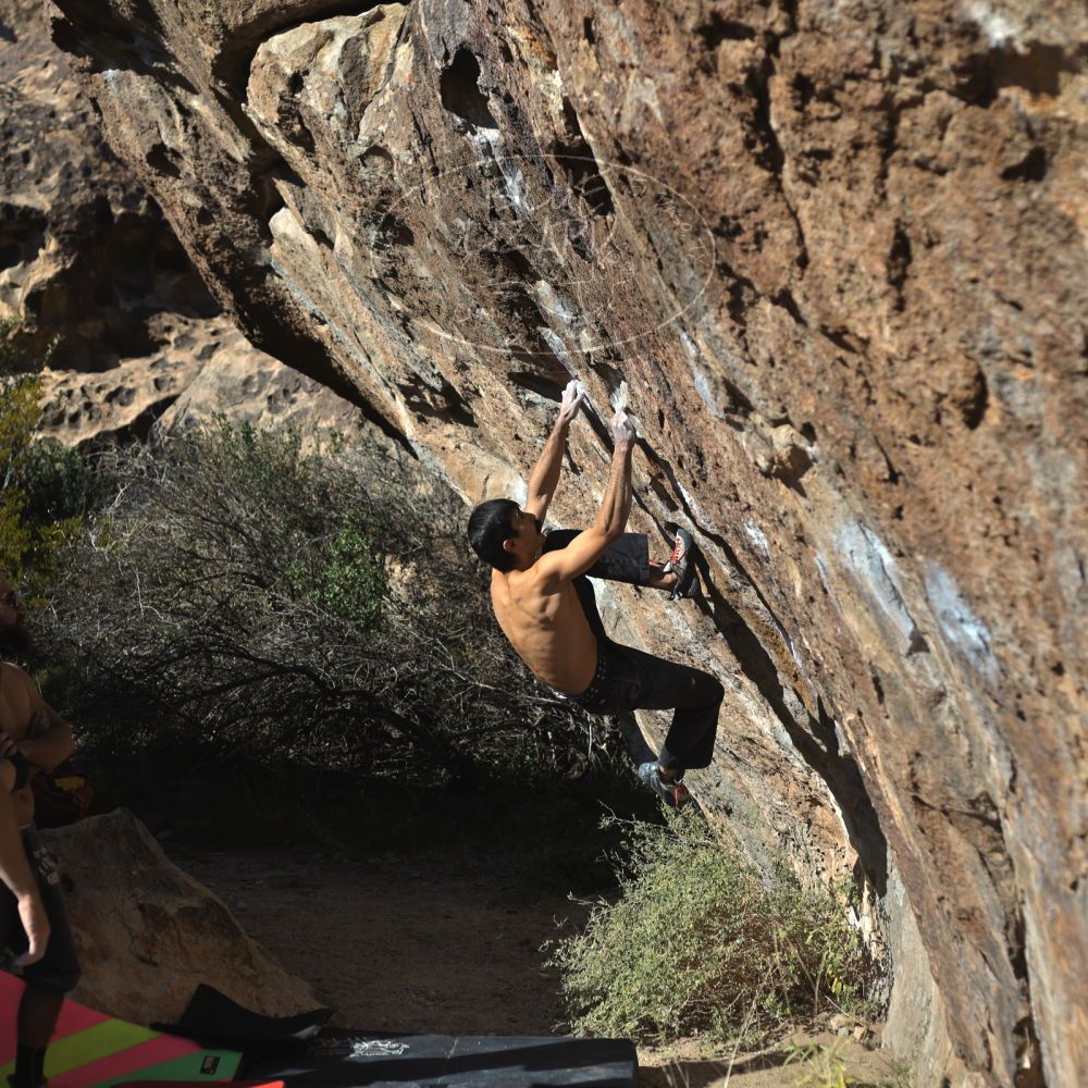 Filename: SRM_20221112_1433070.jpg
Aperture: f/4.0
Shutter Speed: 1/2500
Body: Canon EOS R6
Lens: Canon EF 50mm f/1.8 II