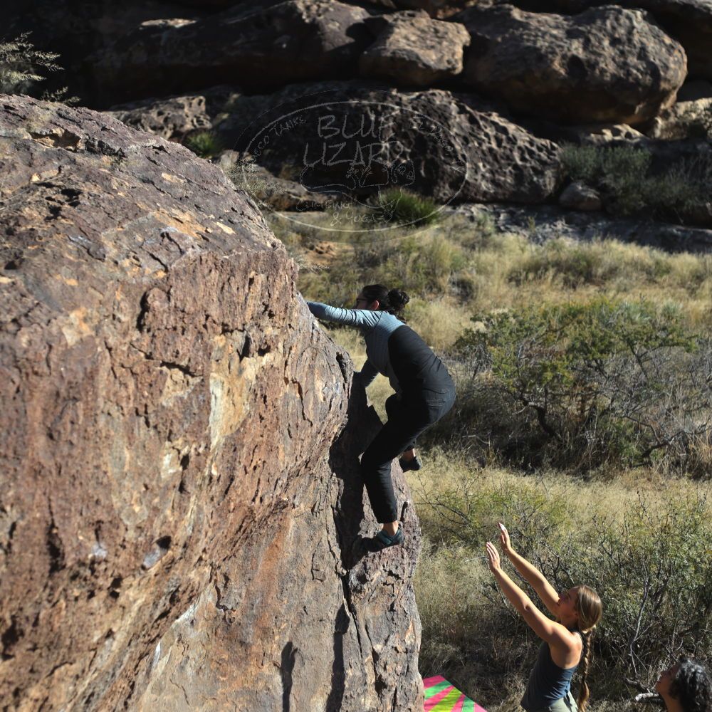 

Filename: SRM_20221112_1435360.jpg
Aperture: f/4.0
Shutter Speed: 1/2500
Body: Canon EOS R6
Lens: Canon EF 50mm f/1.8 II