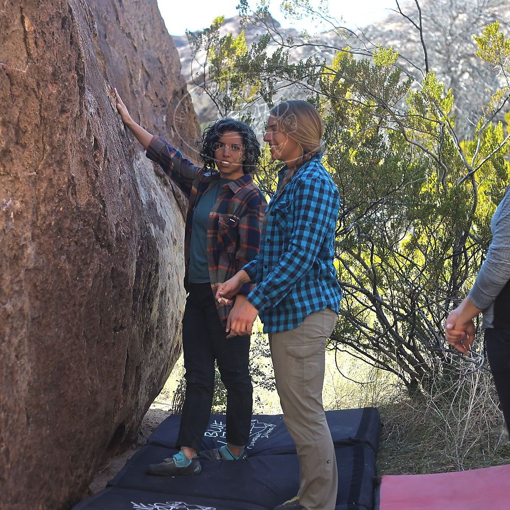 

Filename: SRM_20221112_1445120.jpg
Aperture: f/4.0
Shutter Speed: 1/2500
Body: Canon EOS R6
Lens: Canon EF 50mm f/1.8 II