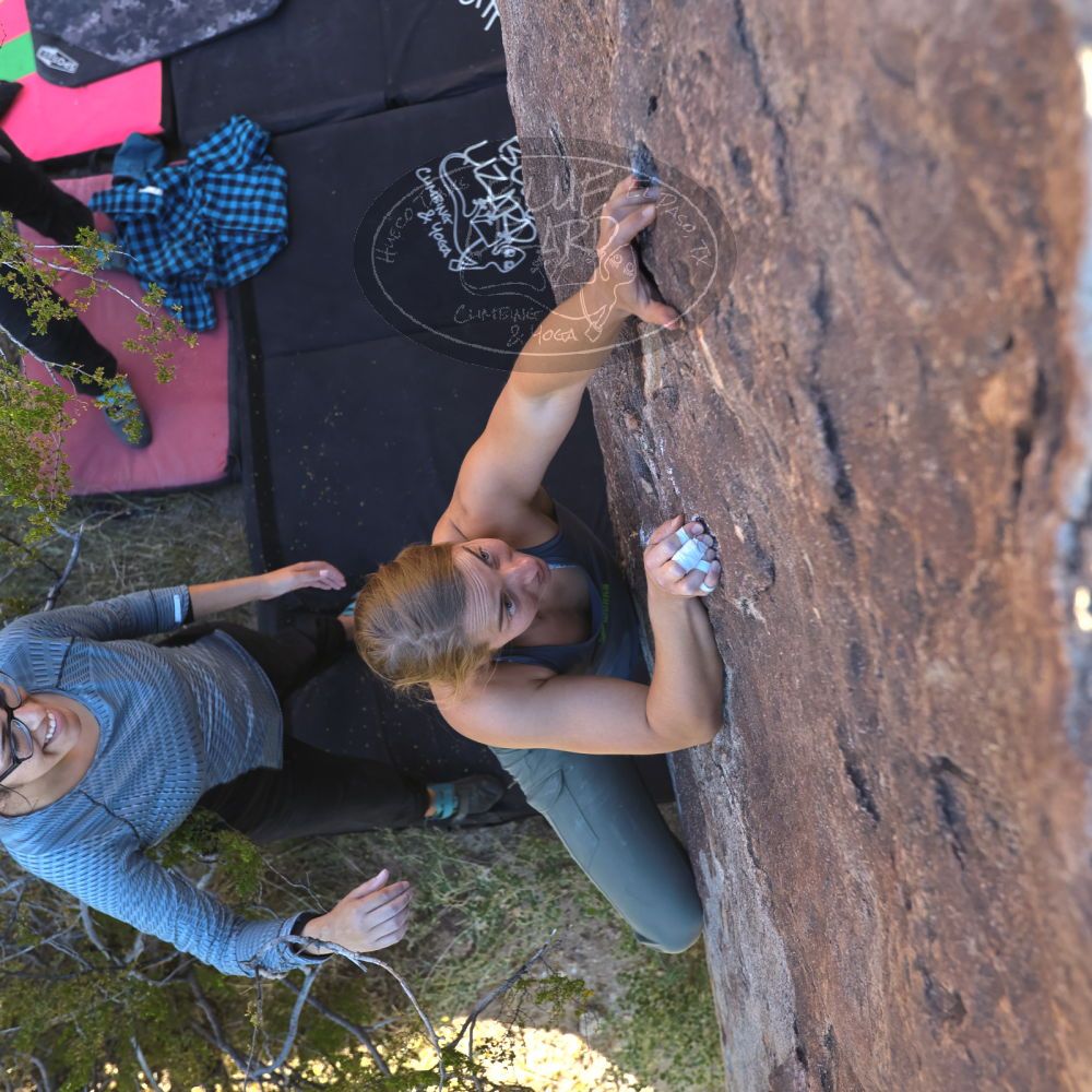 

Filename: SRM_20221112_1452120.jpg
Aperture: f/4.0
Shutter Speed: 1/500
Body: Canon EOS R6
Lens: Canon EF 16-35mm f/2.8 L