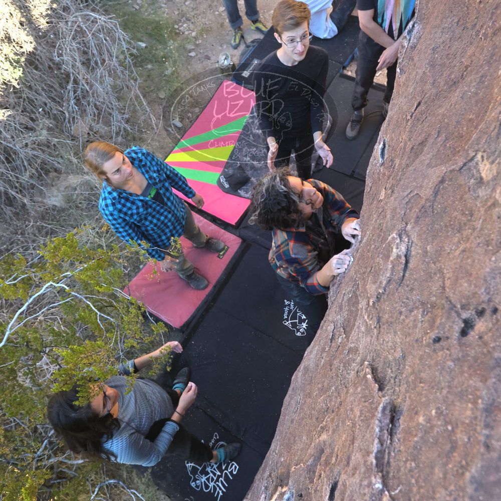 Filename: SRM_20221112_1504020.jpg
Aperture: f/5.6
Shutter Speed: 1/2000
Body: Canon EOS R6
Lens: Canon EF 16-35mm f/2.8 L