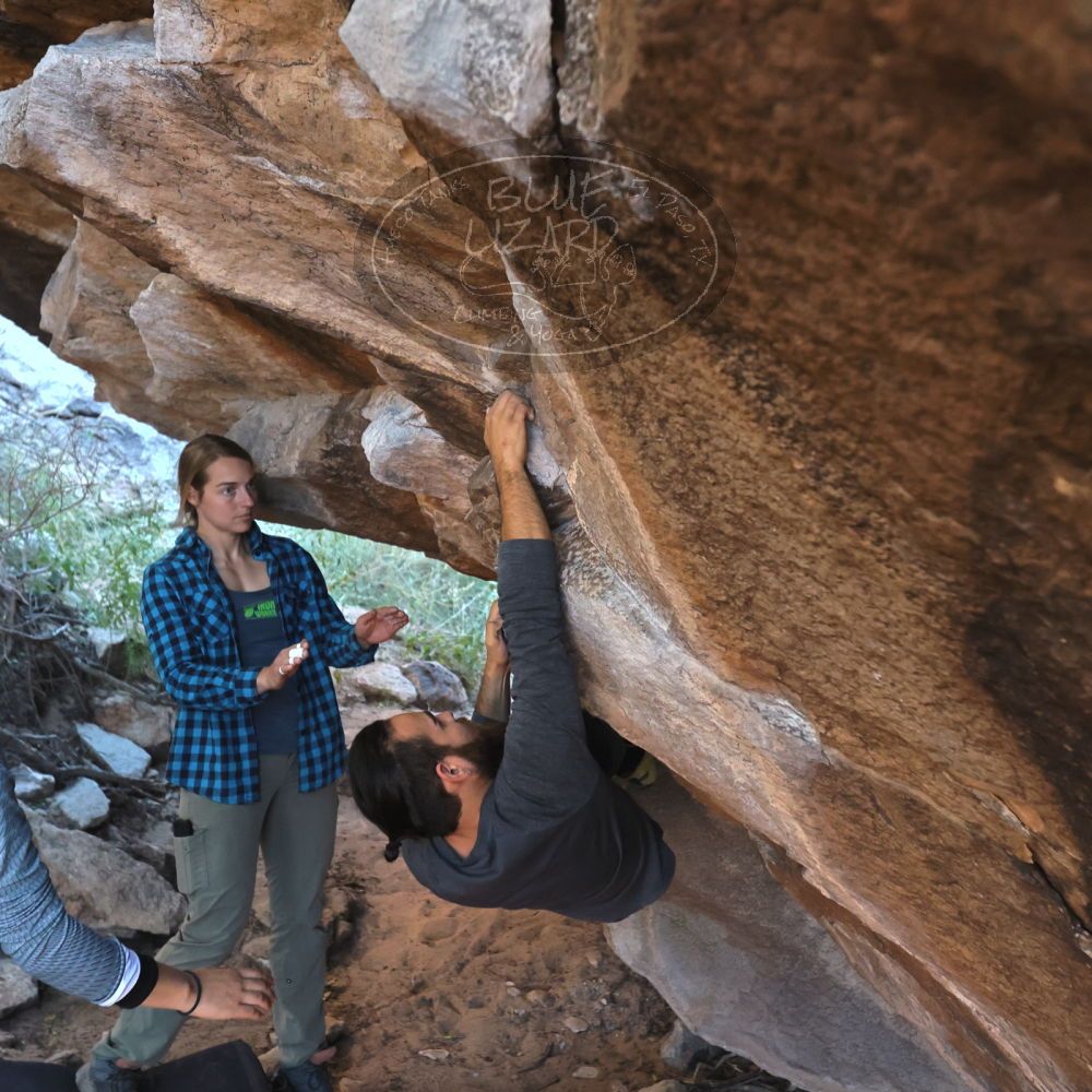 

Filename: SRM_20221112_1554420.jpg
Aperture: f/4.0
Shutter Speed: 1/500
Body: Canon EOS R6
Lens: Canon EF 16-35mm f/2.8 L