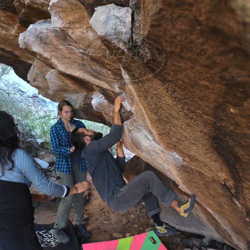 

Filename: SRM_20221112_1554450.jpg
Aperture: f/4.0
Shutter Speed: 1/500
Body: Canon EOS R6
Lens: Canon EF 16-35mm f/2.8 L