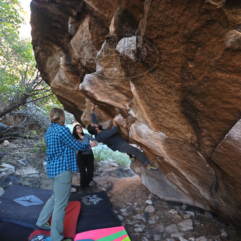 

Filename: SRM_20221112_1601250.jpg
Aperture: f/4.0
Shutter Speed: 1/500
Body: Canon EOS R6
Lens: Canon EF 16-35mm f/2.8 L