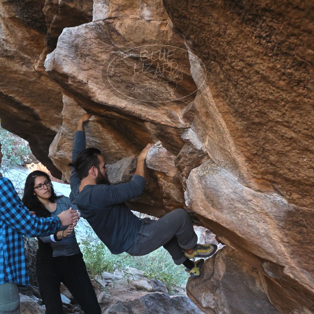 

Filename: SRM_20221112_1601260.jpg
Aperture: f/4.0
Shutter Speed: 1/500
Body: Canon EOS R6
Lens: Canon EF 16-35mm f/2.8 L