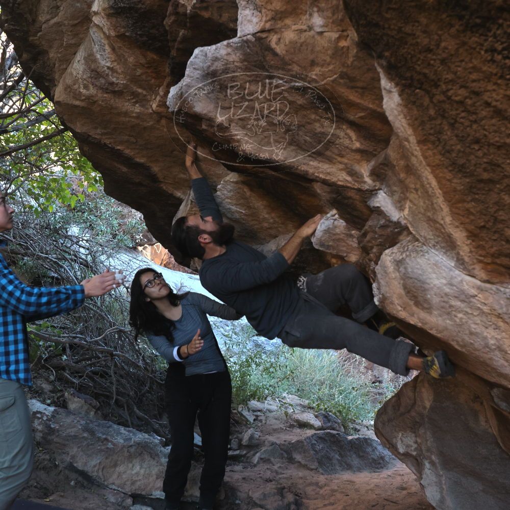 

Filename: SRM_20221112_1601330.jpg
Aperture: f/4.0
Shutter Speed: 1/500
Body: Canon EOS R6
Lens: Canon EF 16-35mm f/2.8 L