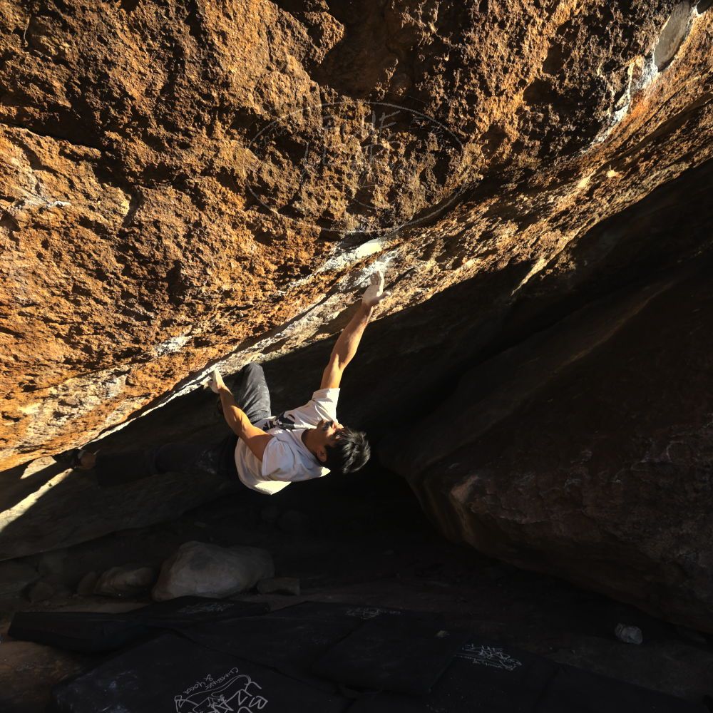 

Filename: SRM_20221112_1614290.jpg
Aperture: f/5.6
Shutter Speed: 1/2000
Body: Canon EOS R6
Lens: Canon EF 16-35mm f/2.8 L