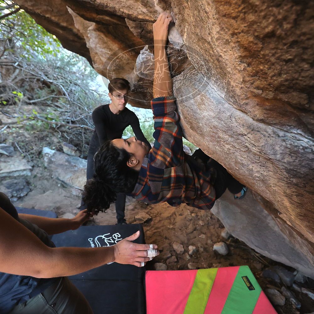 

Filename: SRM_20221112_1614511.jpg
Aperture: f/4.0
Shutter Speed: 1/500
Body: Canon EOS R6
Lens: Canon EF 16-35mm f/2.8 L