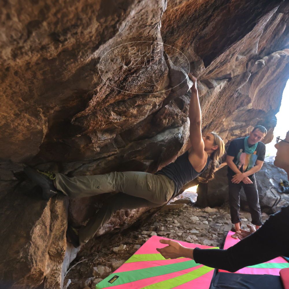 

Filename: SRM_20221112_1616190.jpg
Aperture: f/4.0
Shutter Speed: 1/500
Body: Canon EOS R6
Lens: Canon EF 16-35mm f/2.8 L