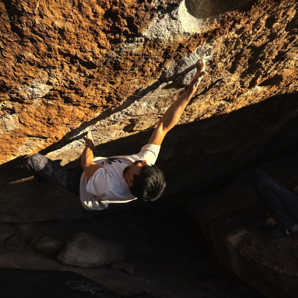 

Filename: SRM_20221112_1627060.jpg
Aperture: f/5.6
Shutter Speed: 1/2000
Body: Canon EOS R6
Lens: Canon EF 16-35mm f/2.8 L