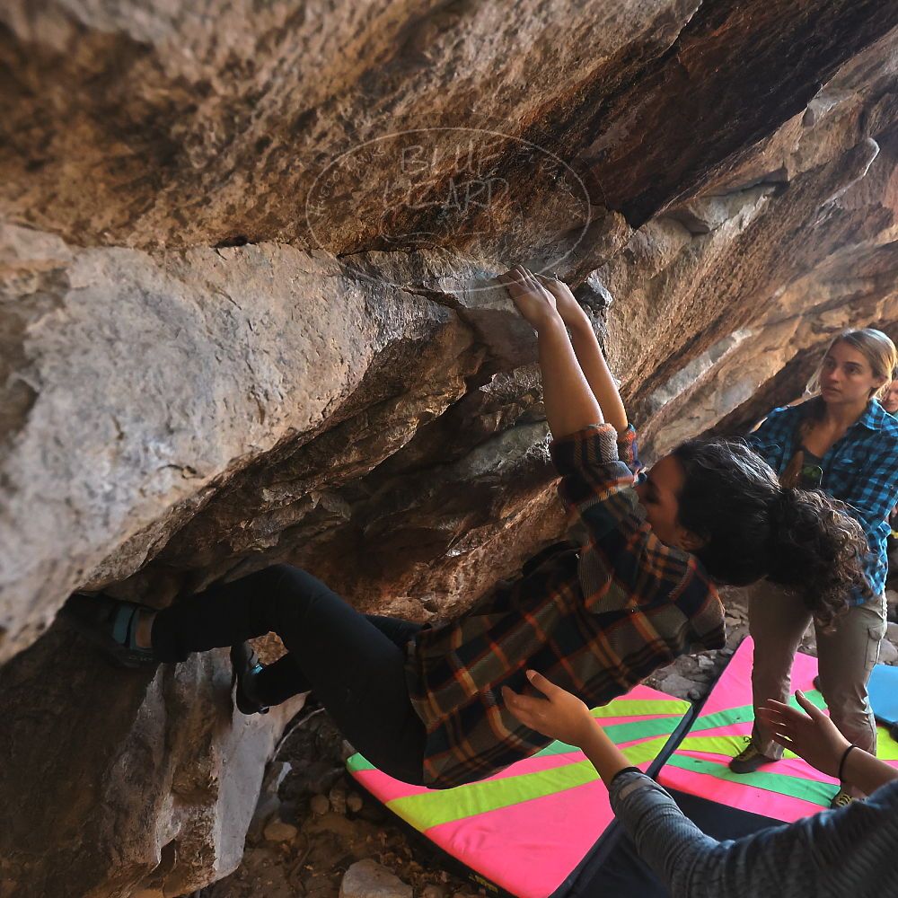 Filename: SRM_20221112_1632490.jpg
Aperture: f/4.0
Shutter Speed: 1/320
Body: Canon EOS R6
Lens: Canon EF 16-35mm f/2.8 L