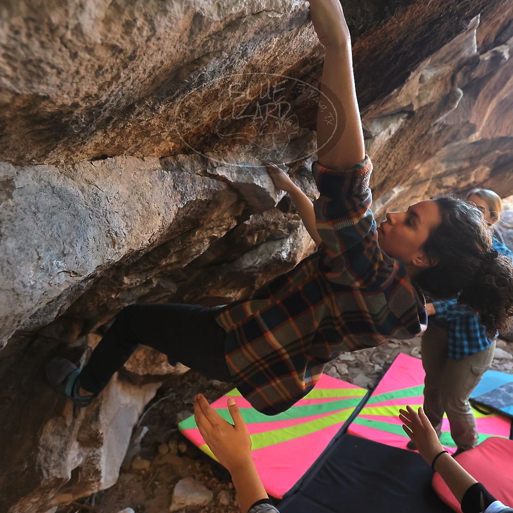 

Filename: SRM_20221112_1632521.jpg
Aperture: f/4.0
Shutter Speed: 1/320
Body: Canon EOS R6
Lens: Canon EF 16-35mm f/2.8 L