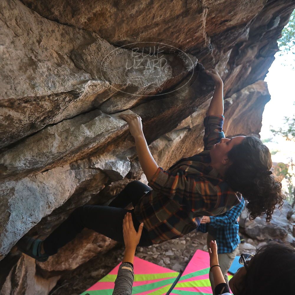 

Filename: SRM_20221112_1632561.jpg
Aperture: f/4.0
Shutter Speed: 1/320
Body: Canon EOS R6
Lens: Canon EF 16-35mm f/2.8 L