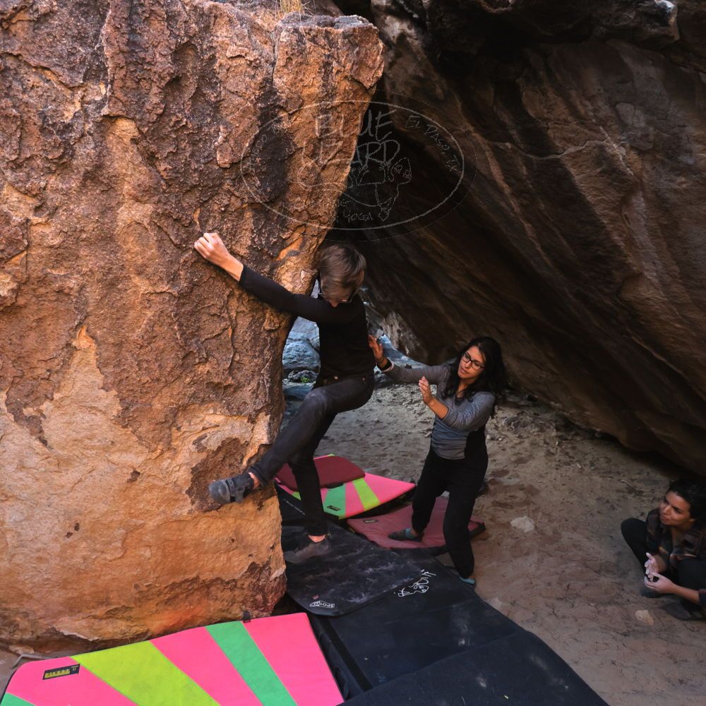 

Filename: SRM_20221112_1648010.jpg
Aperture: f/4.0
Shutter Speed: 1/400
Body: Canon EOS R6
Lens: Canon EF 16-35mm f/2.8 L