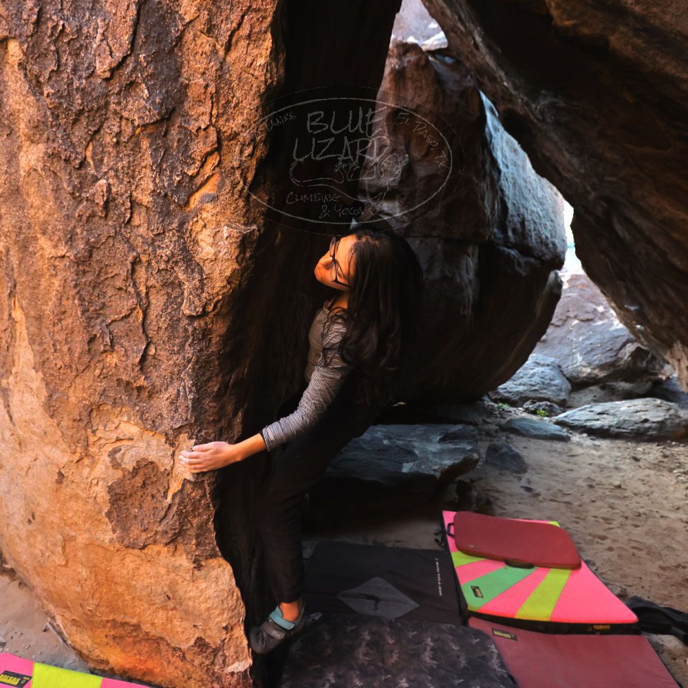 

Filename: SRM_20221112_1651270.jpg
Aperture: f/4.0
Shutter Speed: 1/250
Body: Canon EOS R6
Lens: Canon EF 16-35mm f/2.8 L