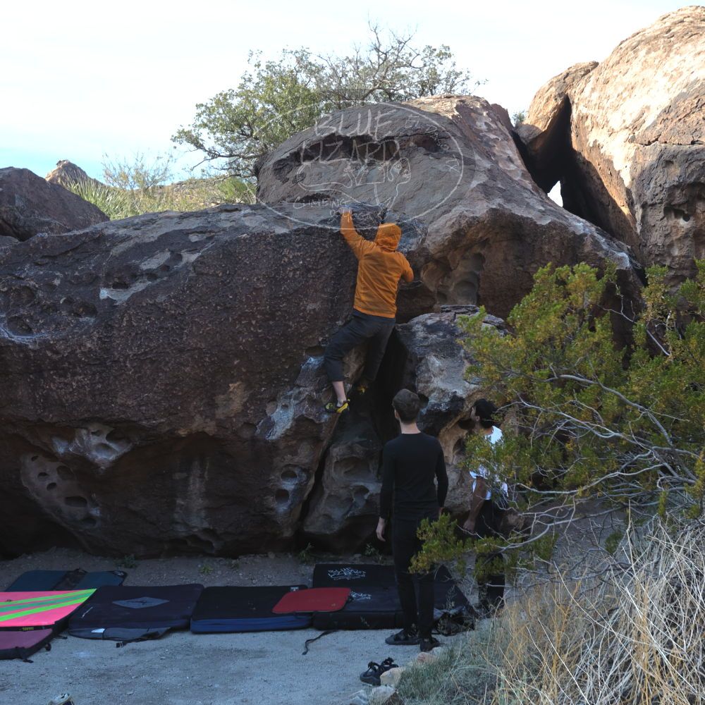 

Filename: SRM_20221112_0916410.jpg
Aperture: f/4.5
Shutter Speed: 1/500
Body: Canon EOS R6
Lens: Canon EF 16-35mm f/2.8 L