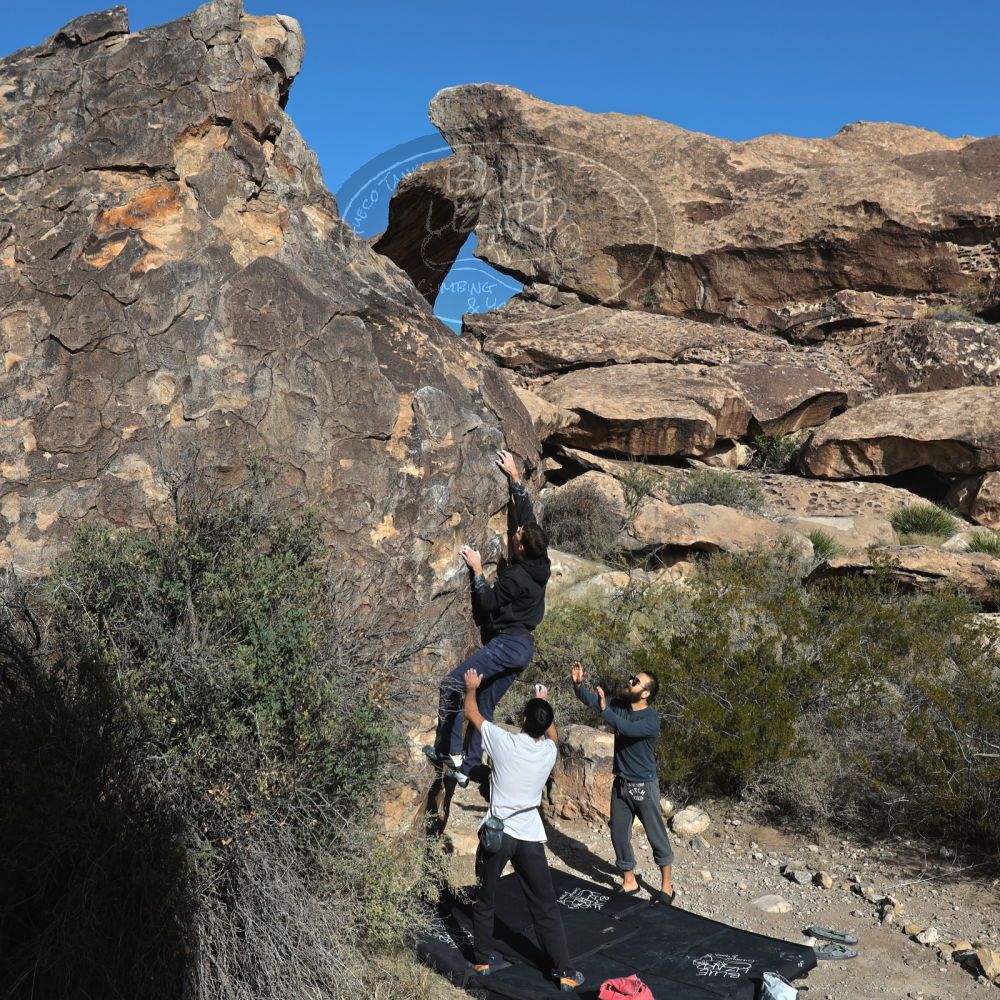 

Filename: SRM_20221112_0918130.jpg
Aperture: f/5.6
Shutter Speed: 1/1000
Body: Canon EOS R6
Lens: Canon EF 16-35mm f/2.8 L