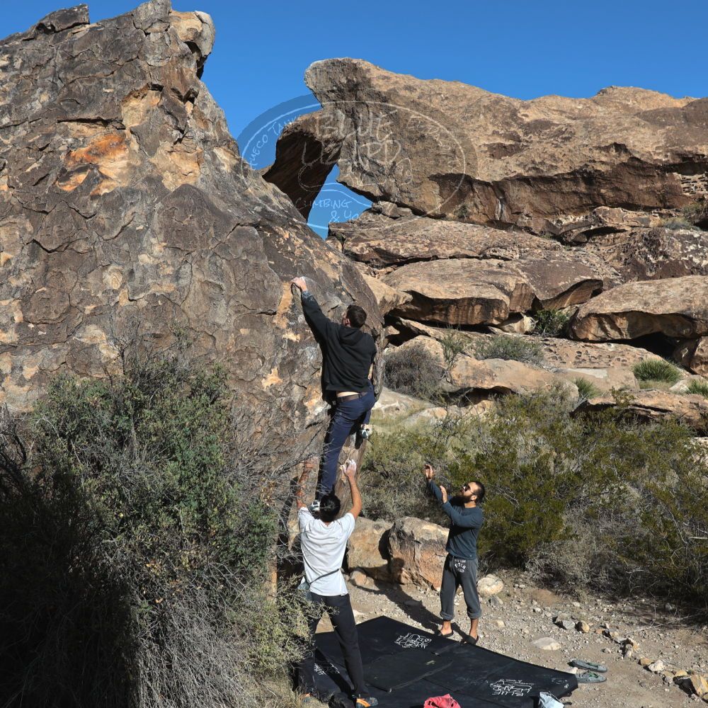 

Filename: SRM_20221112_0918210.jpg
Aperture: f/5.6
Shutter Speed: 1/1000
Body: Canon EOS R6
Lens: Canon EF 16-35mm f/2.8 L