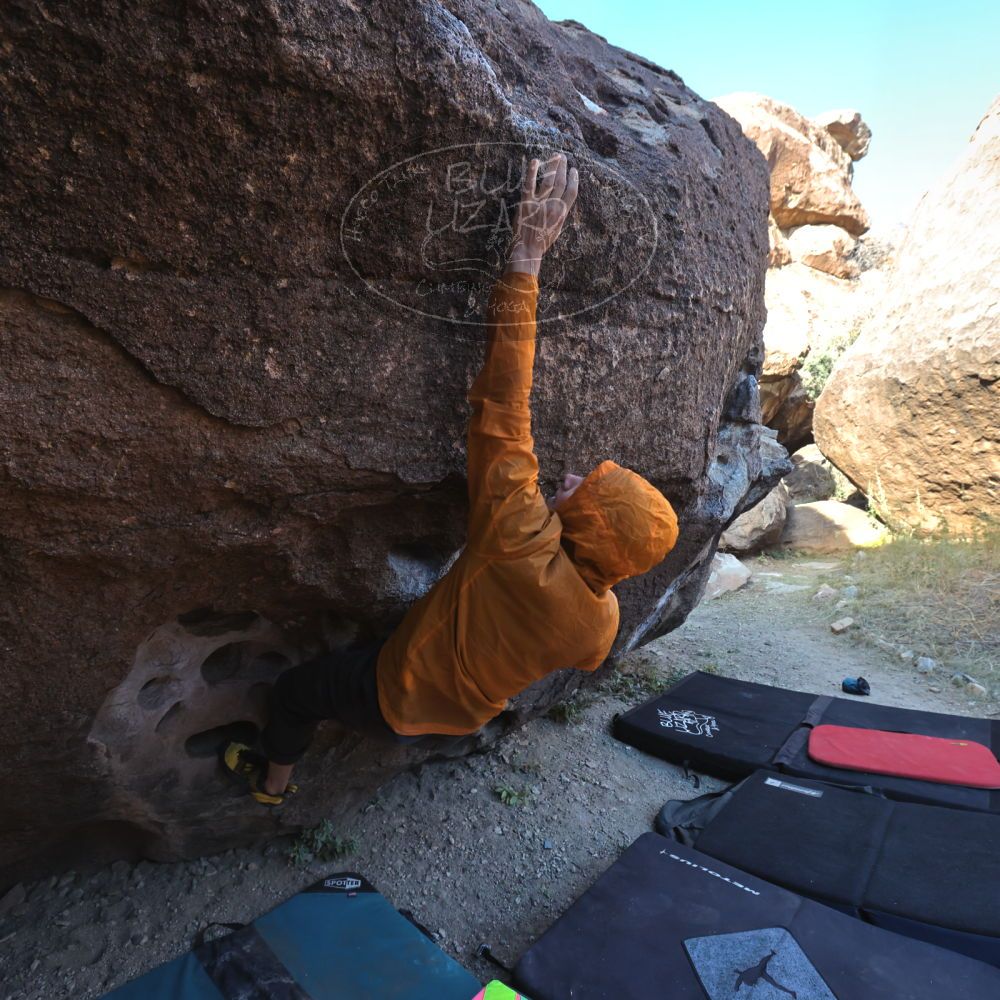 

Filename: SRM_20221112_0929461.jpg
Aperture: f/5.6
Shutter Speed: 1/500
Body: Canon EOS R6
Lens: Canon EF 16-35mm f/2.8 L