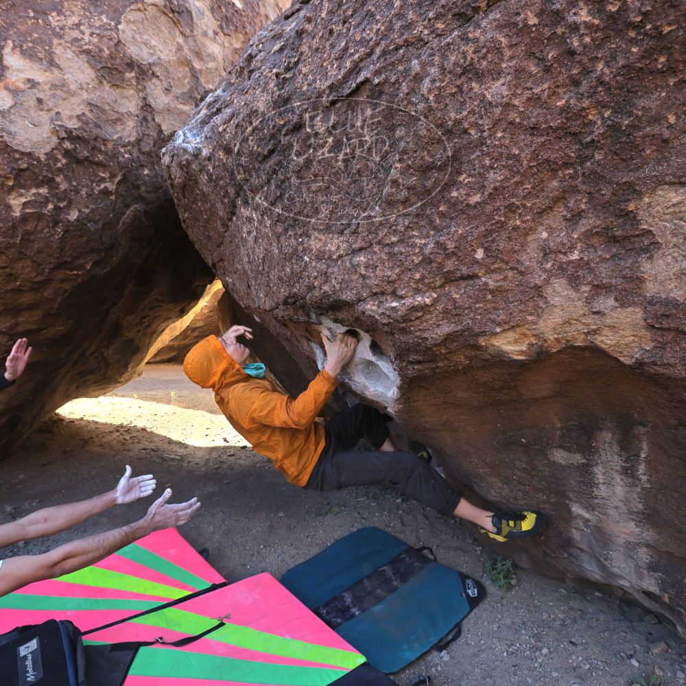 

Filename: SRM_20221112_0934140.jpg
Aperture: f/5.6
Shutter Speed: 1/500
Body: Canon EOS R6
Lens: Canon EF 16-35mm f/2.8 L