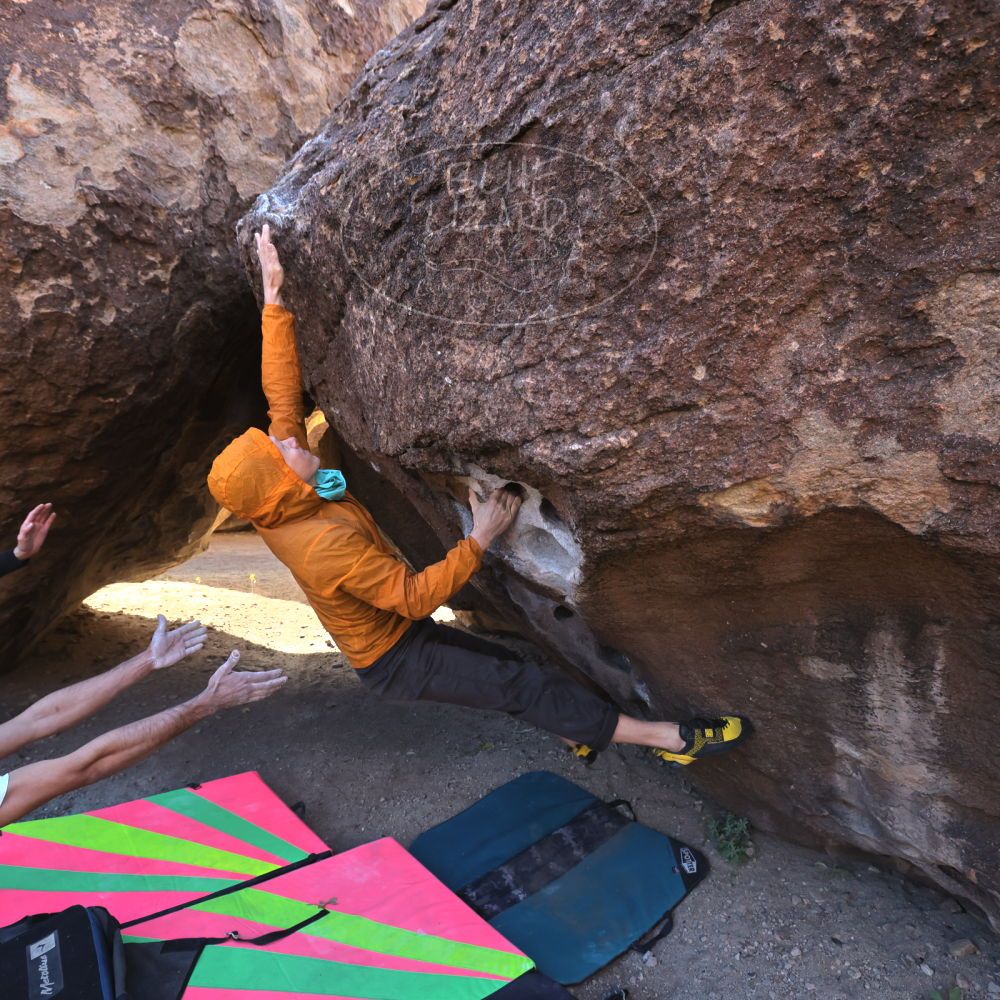 

Filename: SRM_20221112_0934142.jpg
Aperture: f/5.6
Shutter Speed: 1/500
Body: Canon EOS R6
Lens: Canon EF 16-35mm f/2.8 L