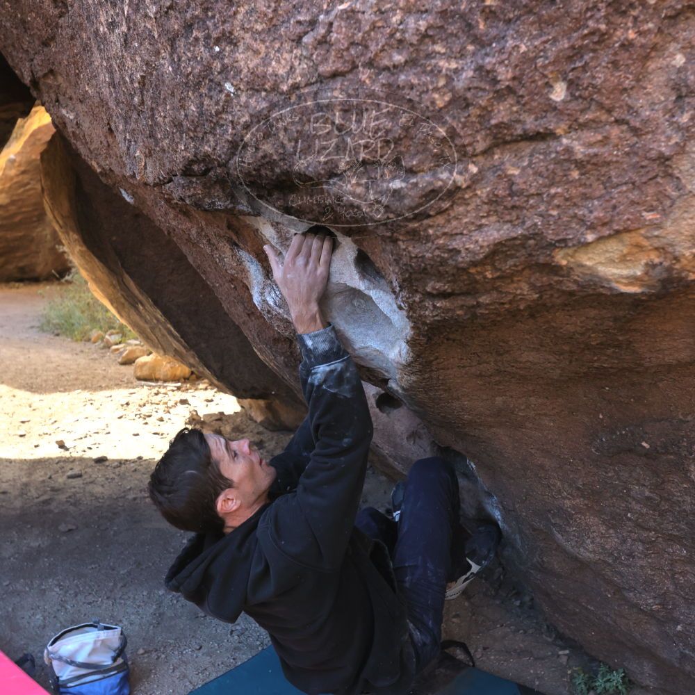 

Filename: SRM_20221112_0936240.jpg
Aperture: f/5.6
Shutter Speed: 1/500
Body: Canon EOS R6
Lens: Canon EF 16-35mm f/2.8 L