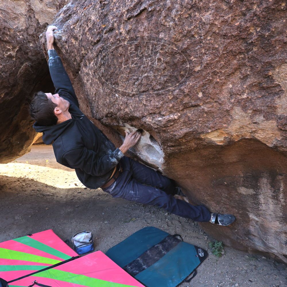 

Filename: SRM_20221112_0936271.jpg
Aperture: f/5.6
Shutter Speed: 1/500
Body: Canon EOS R6
Lens: Canon EF 16-35mm f/2.8 L