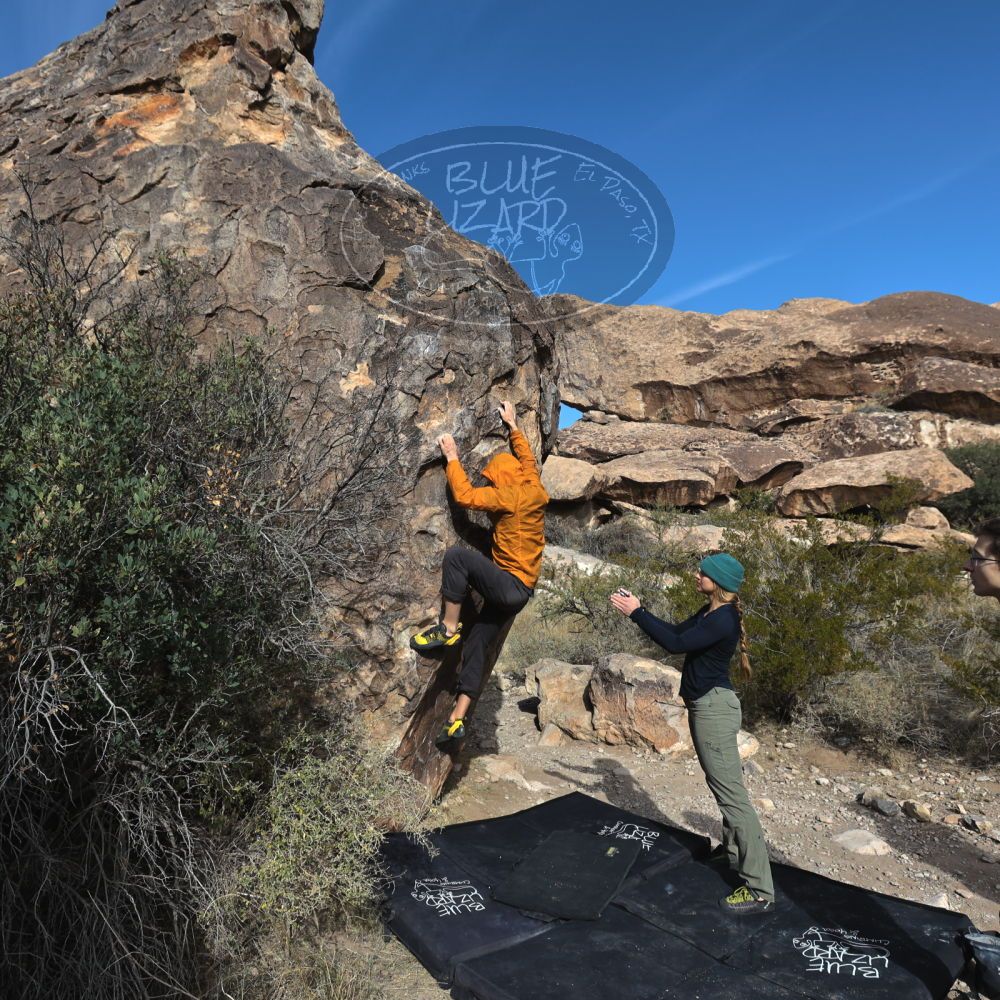 

Filename: SRM_20221112_0943150.jpg
Aperture: f/5.6
Shutter Speed: 1/800
Body: Canon EOS R6
Lens: Canon EF 16-35mm f/2.8 L