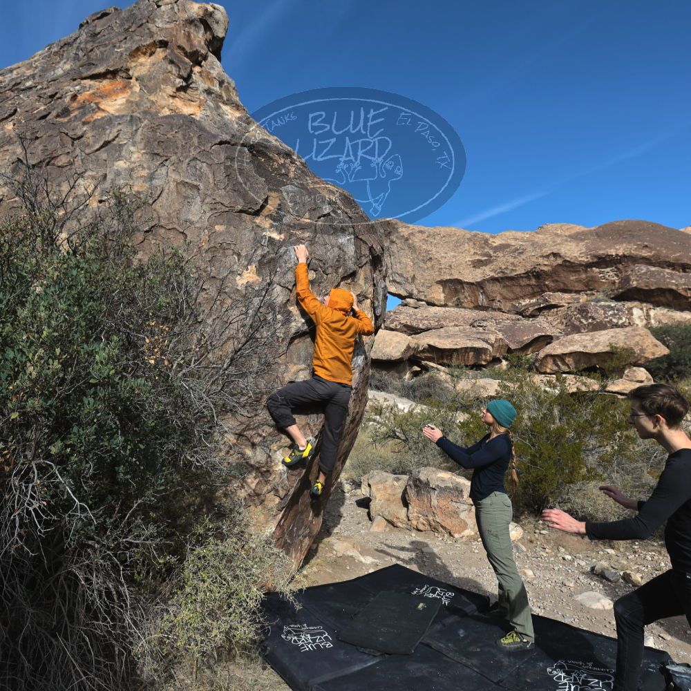 

Filename: SRM_20221112_0943170.jpg
Aperture: f/5.6
Shutter Speed: 1/800
Body: Canon EOS R6
Lens: Canon EF 16-35mm f/2.8 L