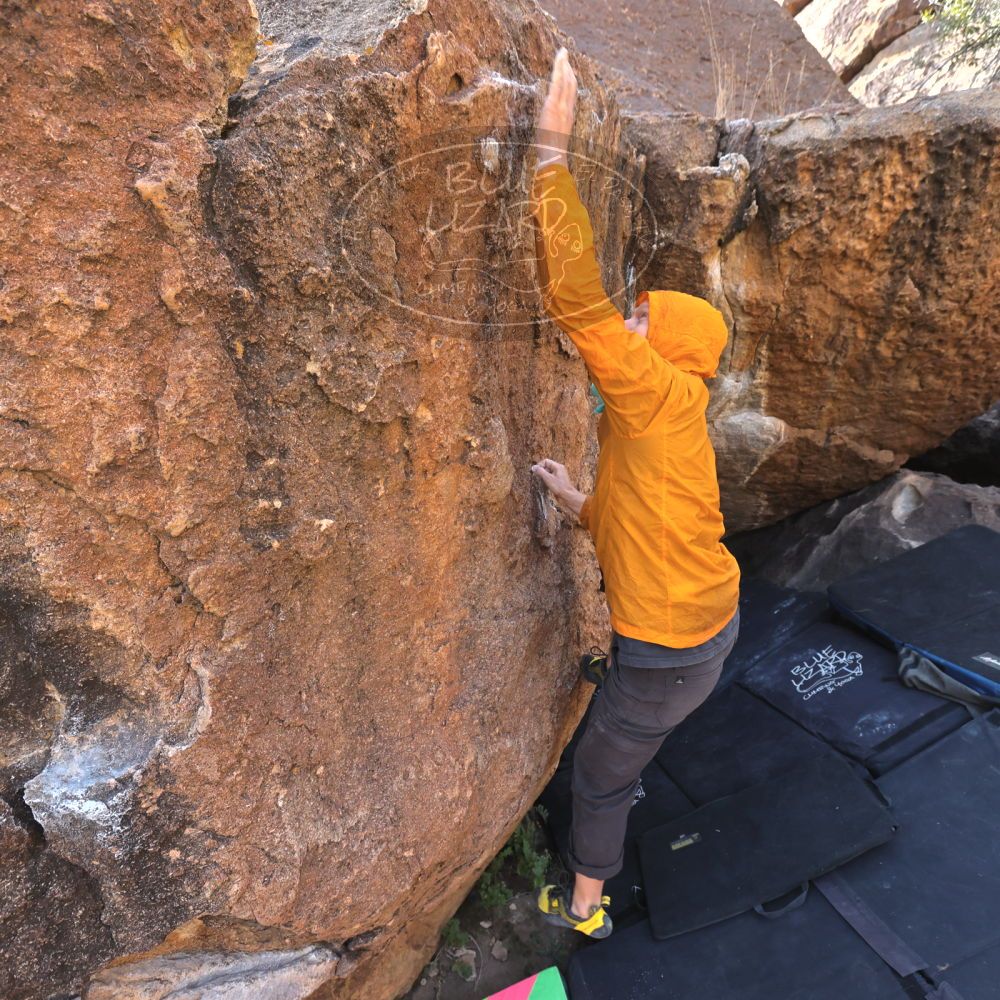 

Filename: SRM_20221112_1120280.jpg
Aperture: f/5.6
Shutter Speed: 1/500
Body: Canon EOS R6
Lens: Canon EF 16-35mm f/2.8 L