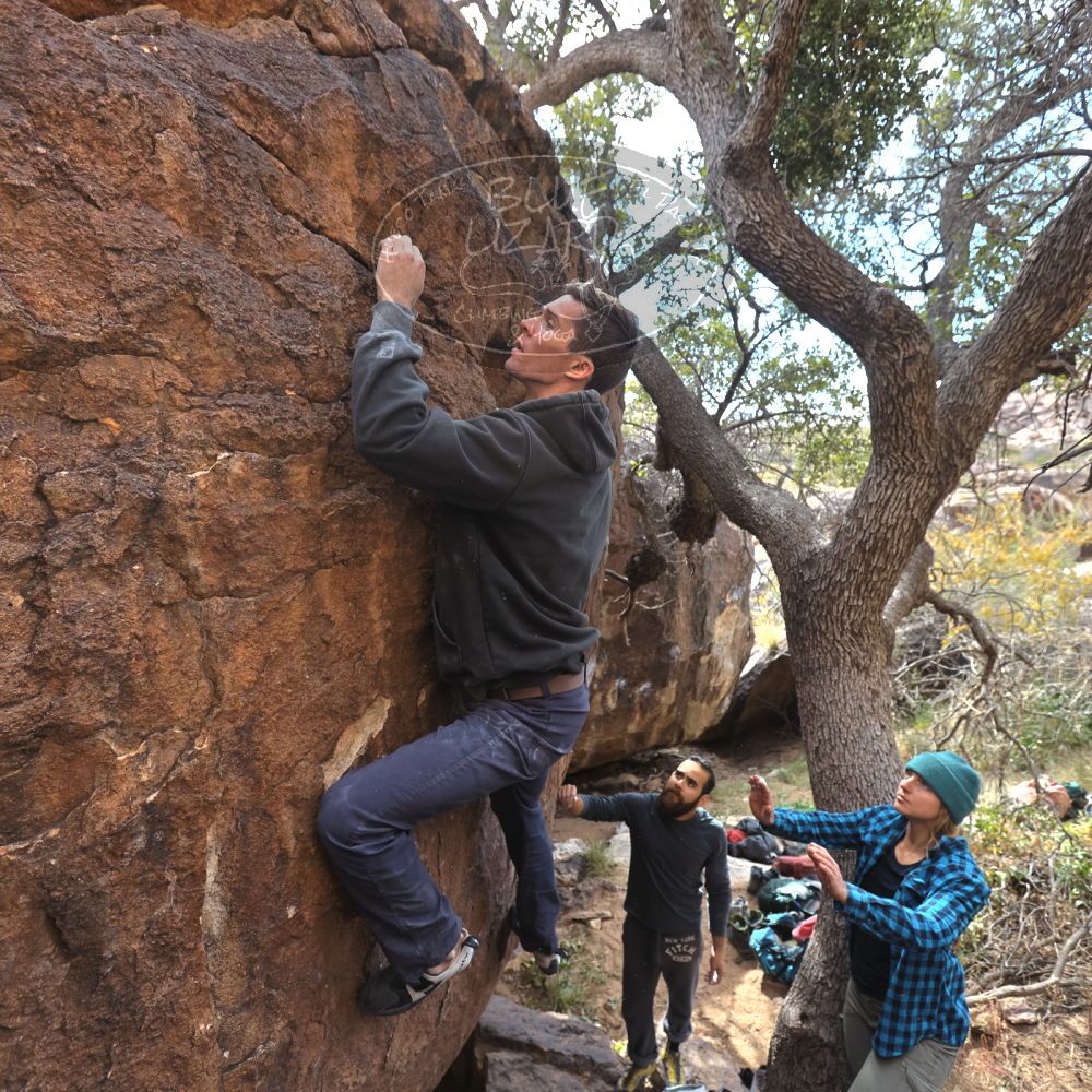 

Filename: SRM_20221112_1250260.jpg
Aperture: f/4.0
Shutter Speed: 1/500
Body: Canon EOS R6
Lens: Canon EF 16-35mm f/2.8 L