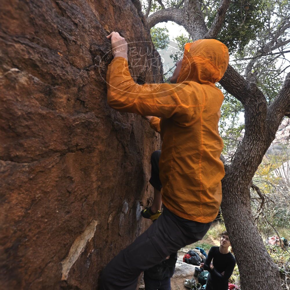 

Filename: SRM_20221112_1254180.jpg
Aperture: f/4.0
Shutter Speed: 1/500
Body: Canon EOS R6
Lens: Canon EF 16-35mm f/2.8 L