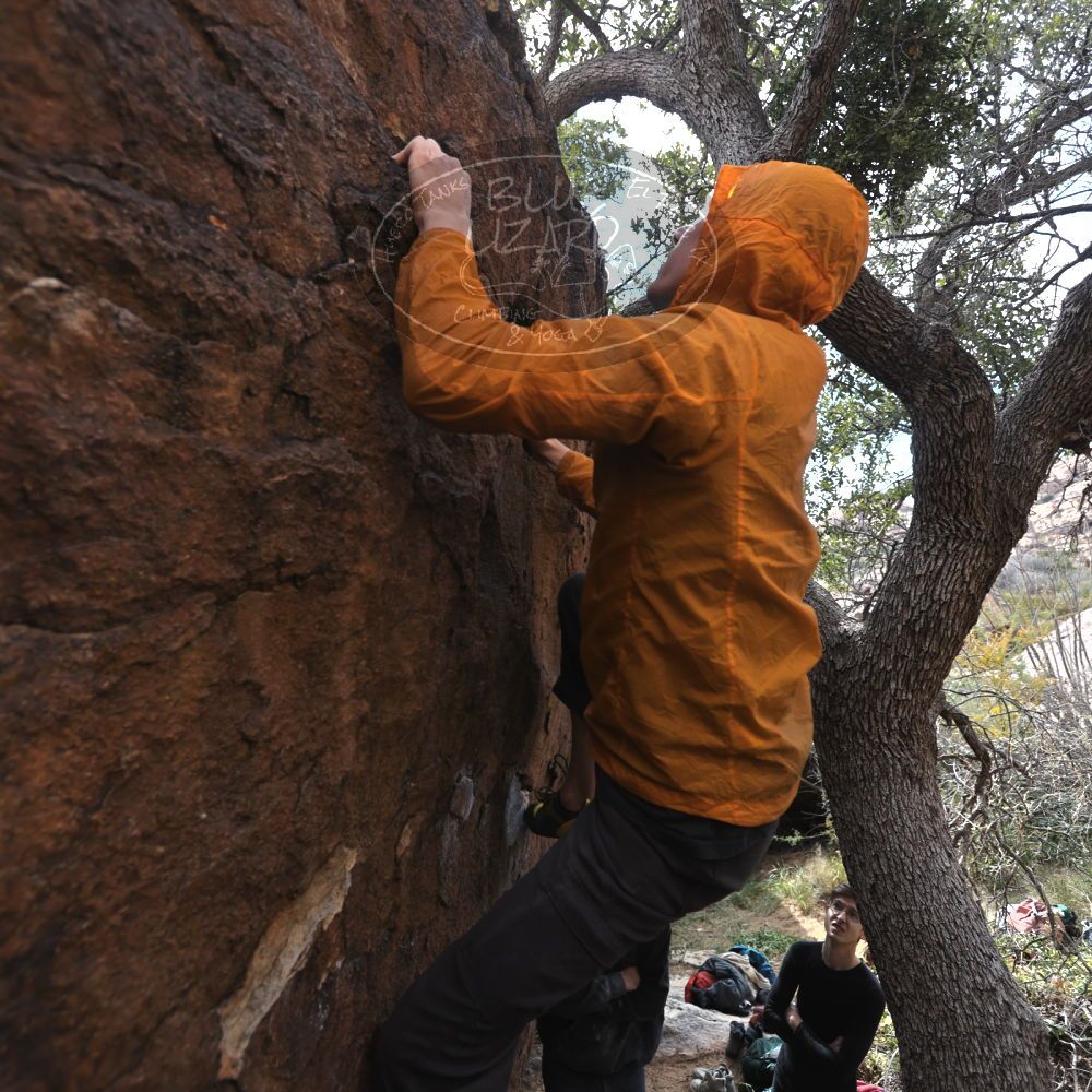 

Filename: SRM_20221112_1254181.jpg
Aperture: f/4.0
Shutter Speed: 1/500
Body: Canon EOS R6
Lens: Canon EF 16-35mm f/2.8 L