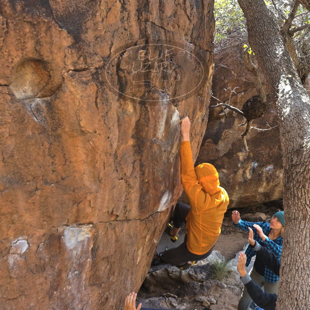 

Filename: SRM_20221112_1313020.jpg
Aperture: f/4.0
Shutter Speed: 1/500
Body: Canon EOS R6
Lens: Canon EF 16-35mm f/2.8 L