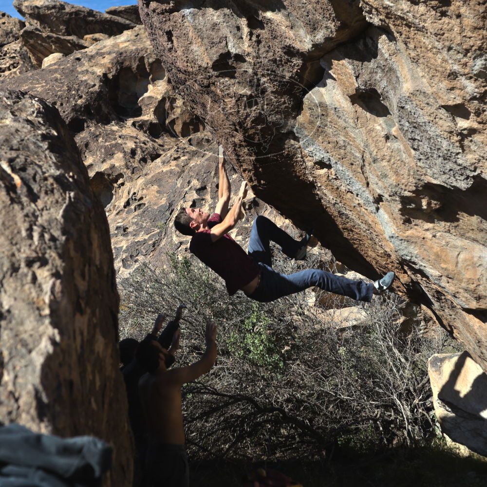 

Filename: SRM_20221112_1420410.jpg
Aperture: f/4.0
Shutter Speed: 1/2500
Body: Canon EOS R6
Lens: Canon EF 50mm f/1.8 II