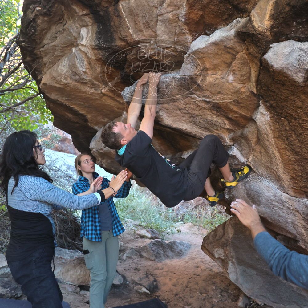 

Filename: SRM_20221112_1556510.jpg
Aperture: f/4.0
Shutter Speed: 1/500
Body: Canon EOS R6
Lens: Canon EF 16-35mm f/2.8 L