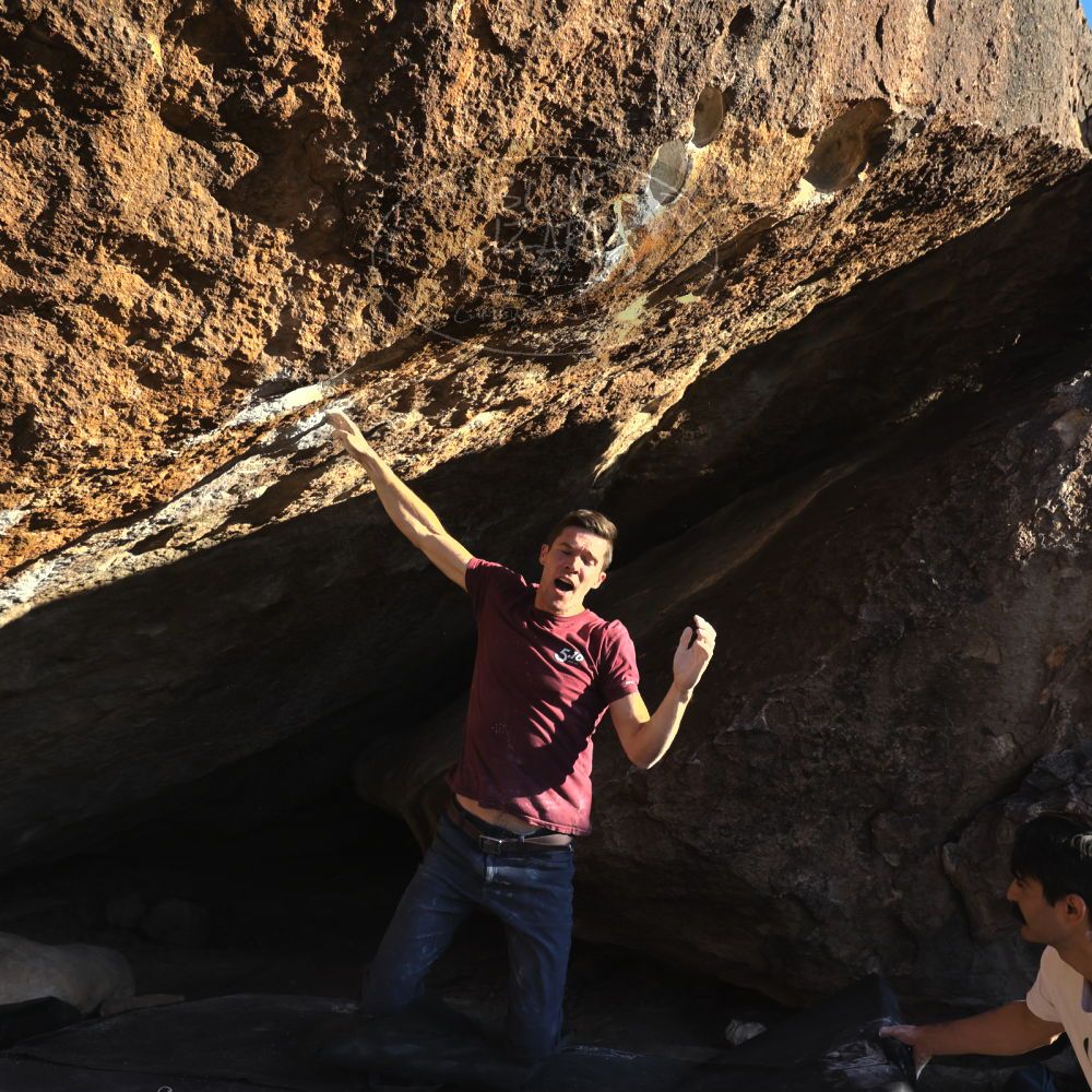 

Filename: SRM_20221112_1612284.jpg
Aperture: f/5.6
Shutter Speed: 1/2000
Body: Canon EOS R6
Lens: Canon EF 16-35mm f/2.8 L