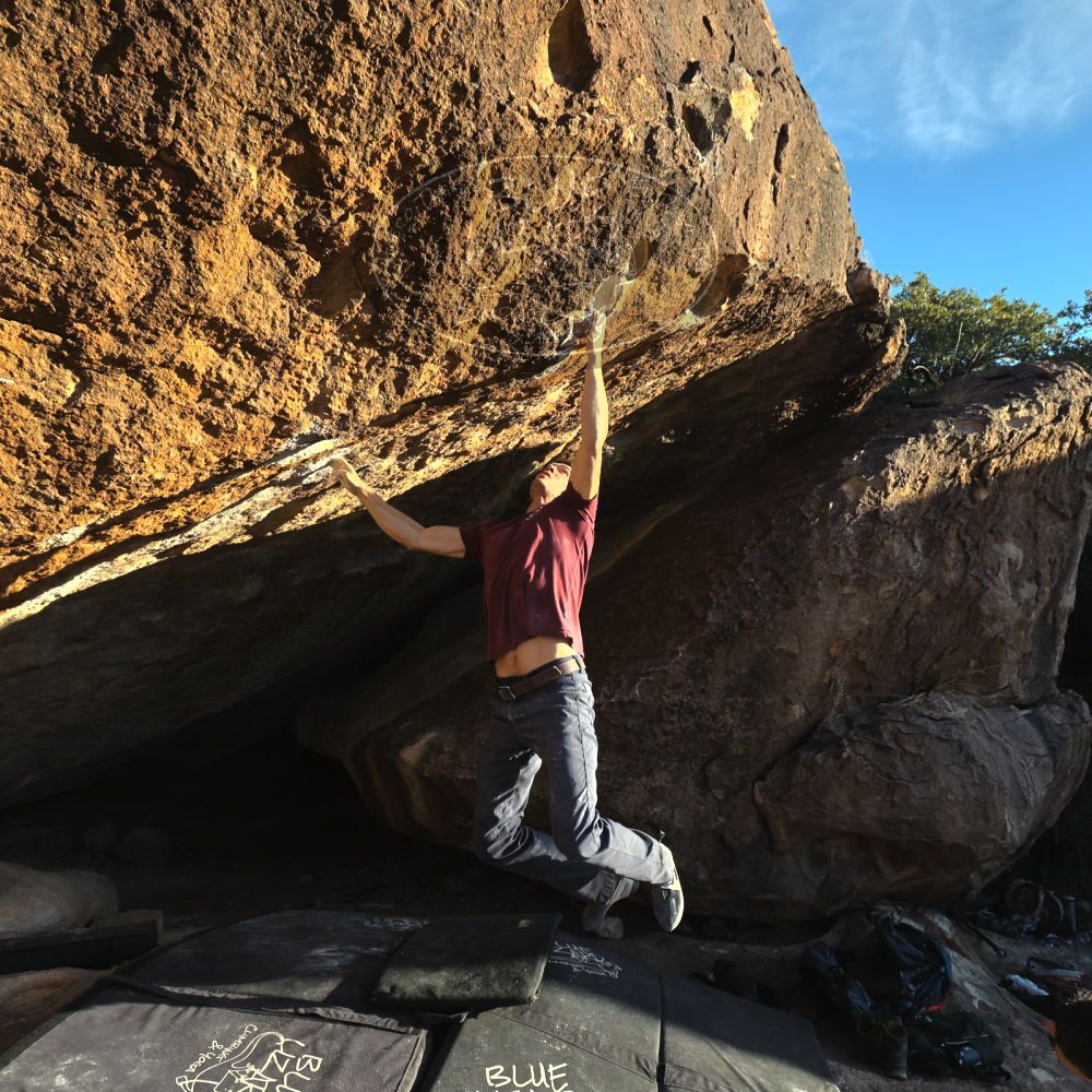 

Filename: SRM_20221112_1624164.jpg
Aperture: f/5.6
Shutter Speed: 1/2000
Body: Canon EOS R6
Lens: Canon EF 16-35mm f/2.8 L