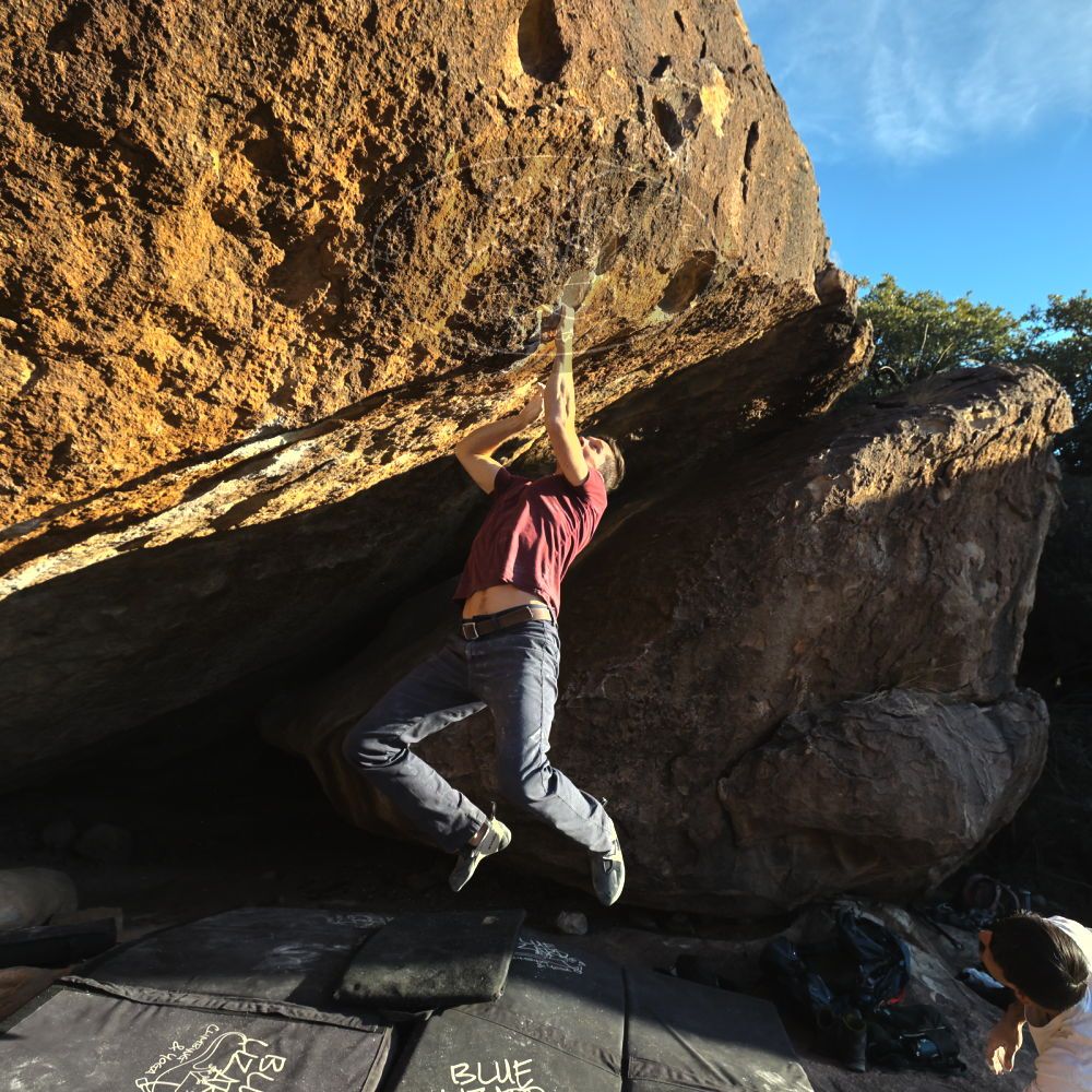 

Filename: SRM_20221112_1624171.jpg
Aperture: f/5.6
Shutter Speed: 1/2000
Body: Canon EOS R6
Lens: Canon EF 16-35mm f/2.8 L